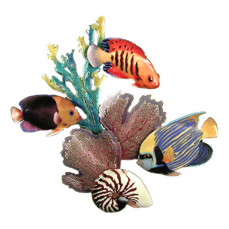 Bovano W1622 Emperor Angelfish Flame Angelfish Rock Beauty Fire Coral Sea Fans and Nautilus Wall Art