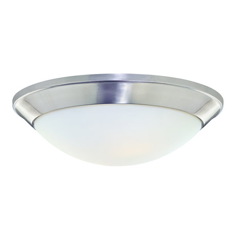 Dolan Designs 5402-09 Rainier Flush Mount Ceiling Light