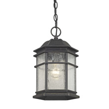 Dolan Designs 9232-68 Barlow Outdoor Hanging Lantern