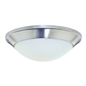Rainier Flush Mount Ceiling Light - Dolan Designs 5401-09