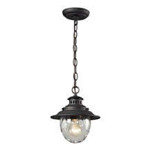 Elk Lighting 45041/1 Searsport Outdoor Hanging Lantern Pendant
