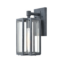 Elk Lighting 45164/1 1-Light Sconce in Aged Zinc with Clear