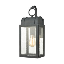 Elk Lighting 45481/1 1-Light Outdoor Sconce in Aged Zinc with Seedy Glass Enclosure