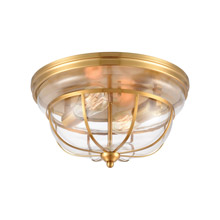 Elk Lighting 46574/2 2-Light Flush Mount in Brushed Brass with Clear Glass