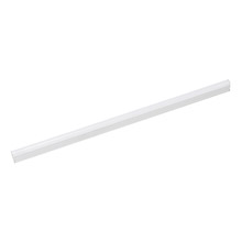 Elk Lighting ZS606RSF 1-Light Utility Light in White with Frosted White Polycarbonate Diffuser - Integrated LED
