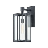 Bianca 1-Light Sconce in Aged Zinc with Clear - Elk Lighting 45166/1