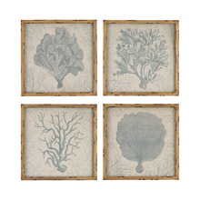 ELK Home 3138-241/S4 Vieques Island Coral Prints on Linen (Set of 4)