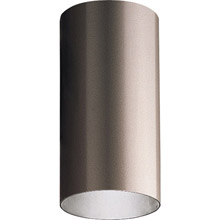 Progress Lighting P5741-20 Cylinder Outdoor Flush Mount Ceiling Fixture
