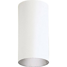 Progress Lighting P5741-30 Cylinder Outdoor Flush Mount Ceiling Fixture
