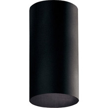 Progress Lighting P5741-31 Cylinder Outdoor Flush Mount Ceiling Fixture