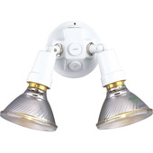Classic/Traditional PAR Lampholder Outdoor Wall Lantern - Progress Lighting P5207-30