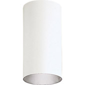 Contemporary Cylinder Outdoor Ceiling Light Fixture - Progress Lighting P5741-30/30K