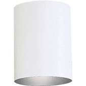 Contemporary Cylinder Outdoor Flush Mount Ceiling Fixture - Progress Lighting P5774-30