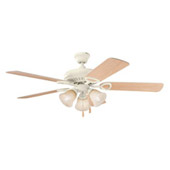 Eclectic / Casual Ceiling Fans